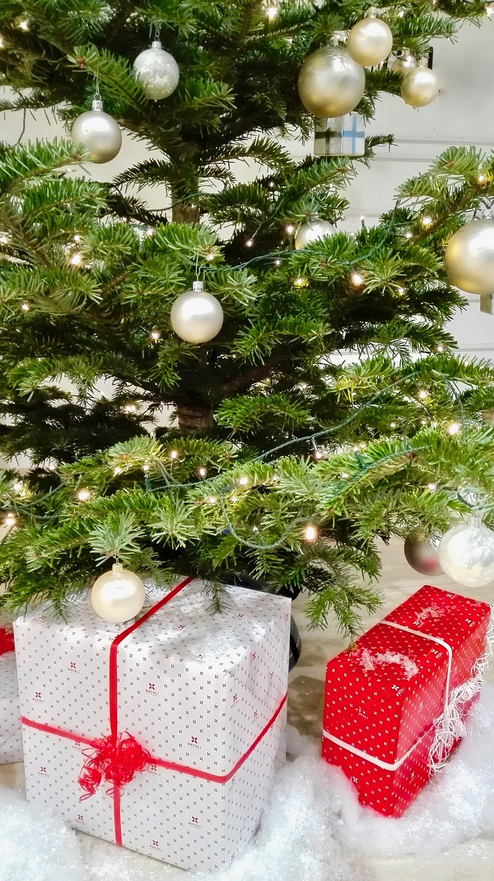 早安世界！迎接充满希望的新年，最新早安图片分享，共庆2017年