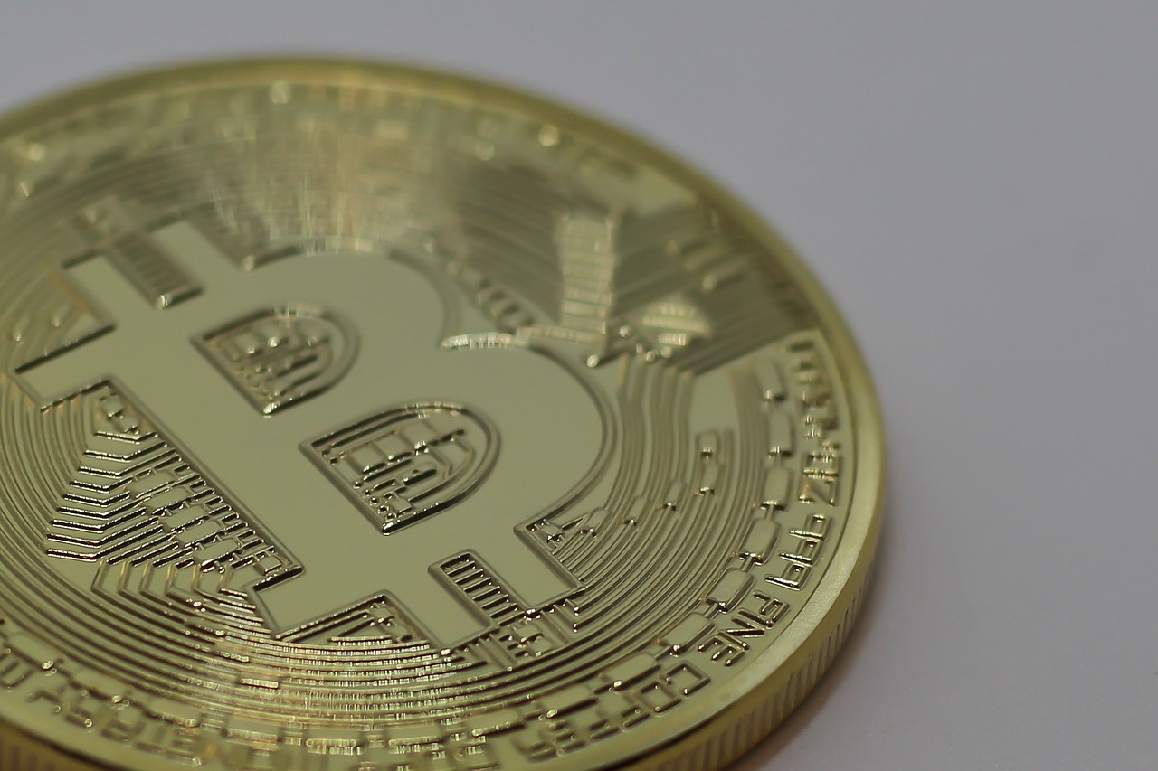 全国最新玉米价格动态分析与趋势预测