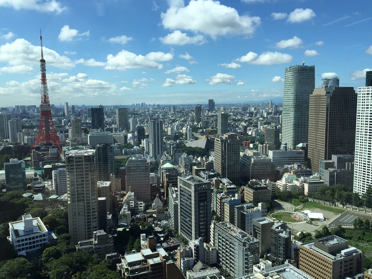 内黄最新猪价及其动态分析概述