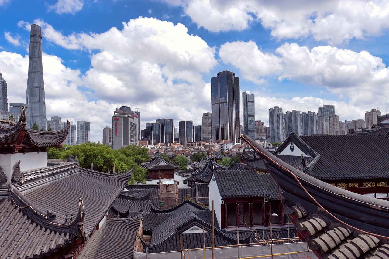 央行最新动态，政策调整引发市场反应