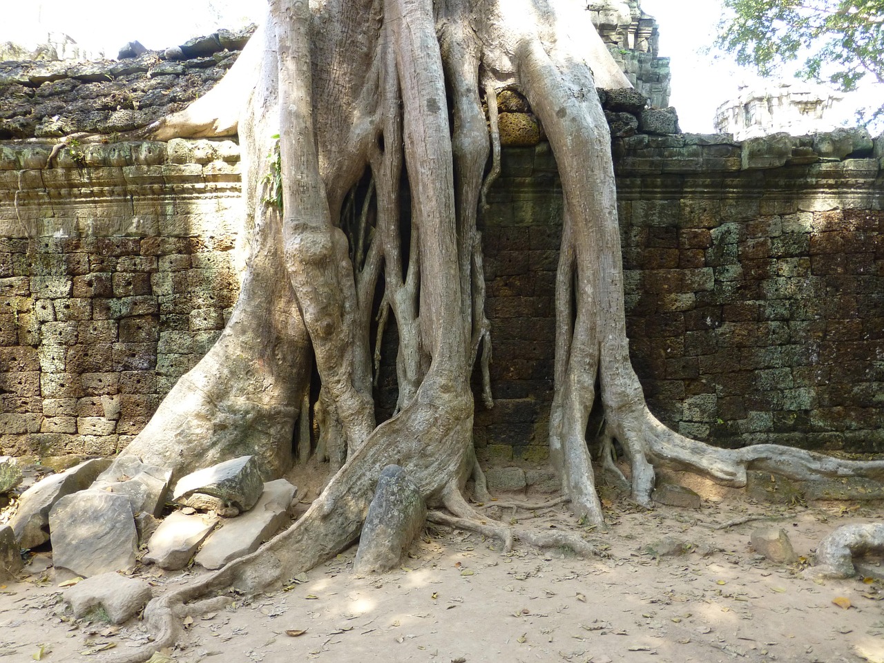 途乐最新动态，豪华越野之旅的未来探索